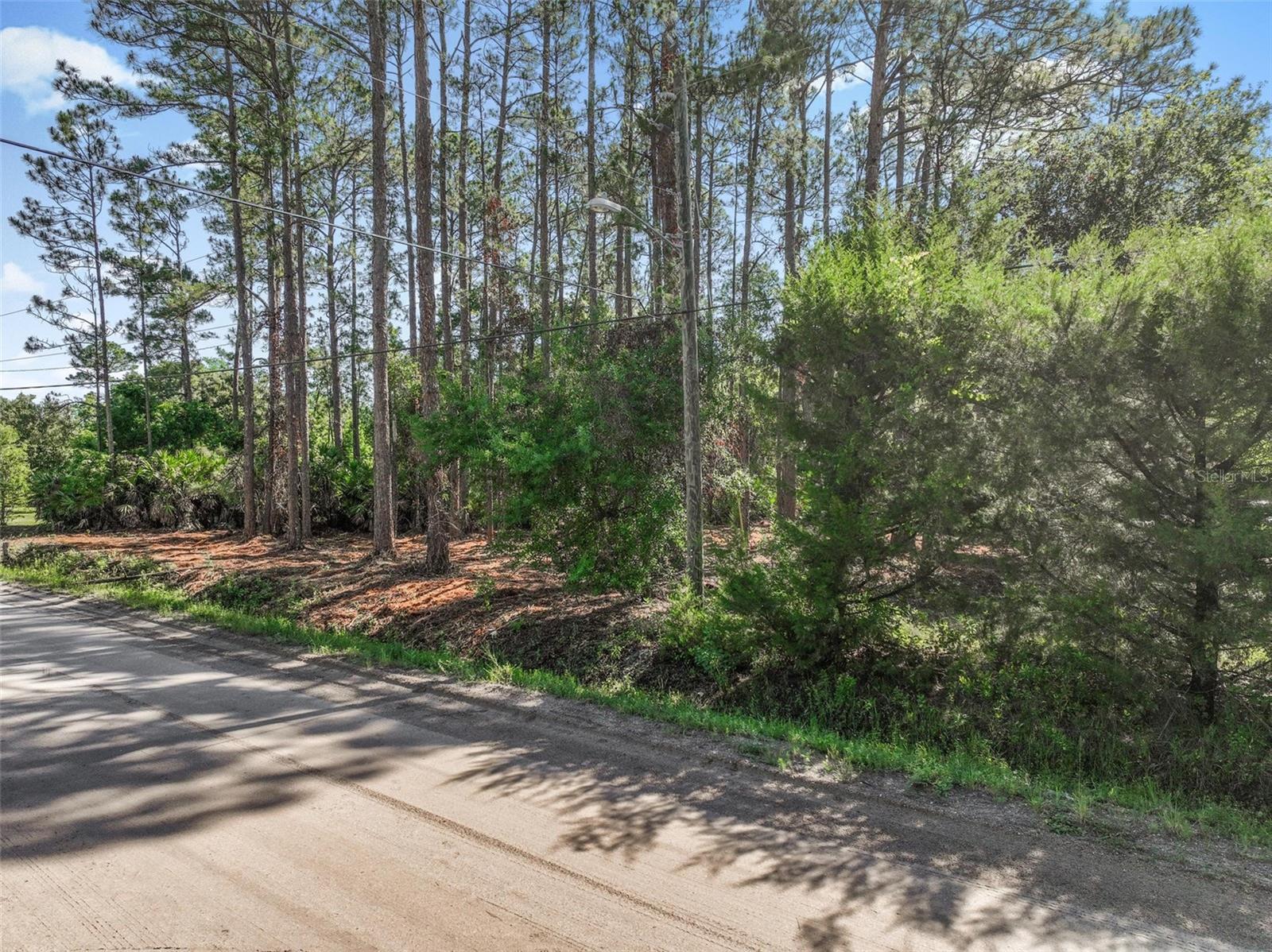 2679 FOREST PARK ST, BUNNELL, FL, 32110