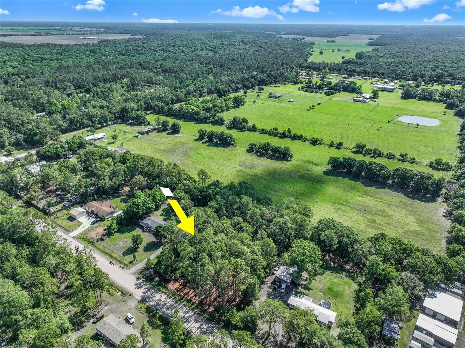 2679 FOREST PARK ST, BUNNELL, FL, 32110