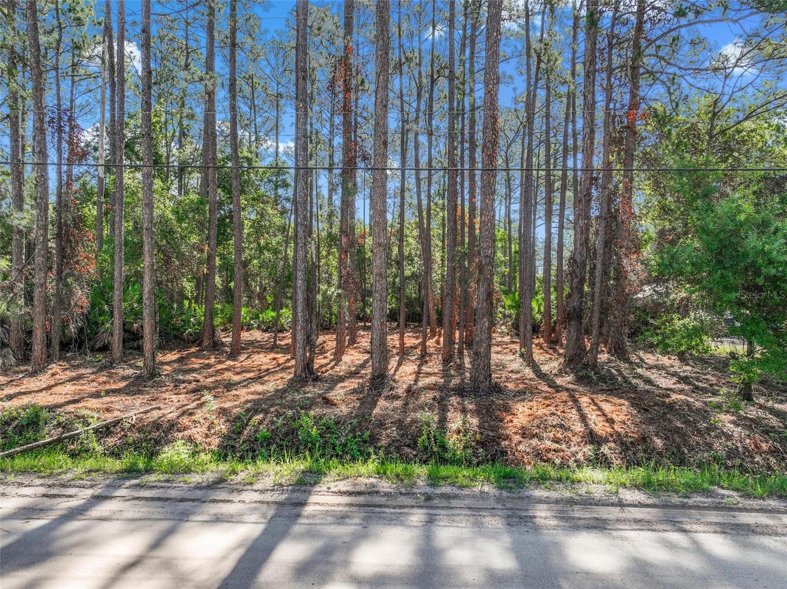 2679 FOREST PARK ST, BUNNELL, FL, 32110