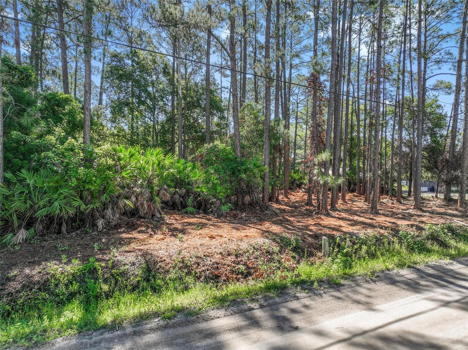 2679 FOREST PARK ST, BUNNELL, FL, 32110