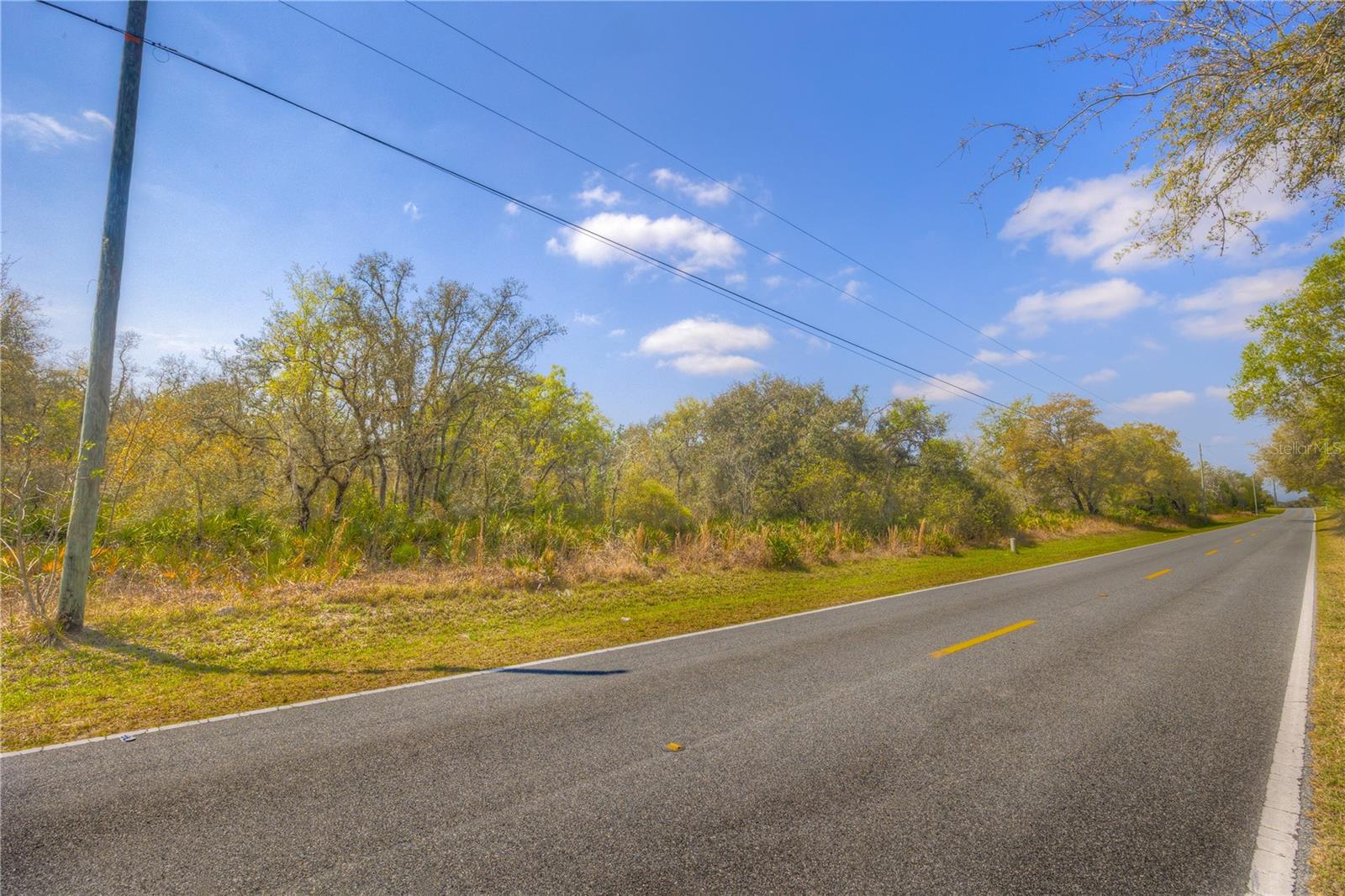 35166 CORNERSTONE DR, WEBSTER, FL, 33597