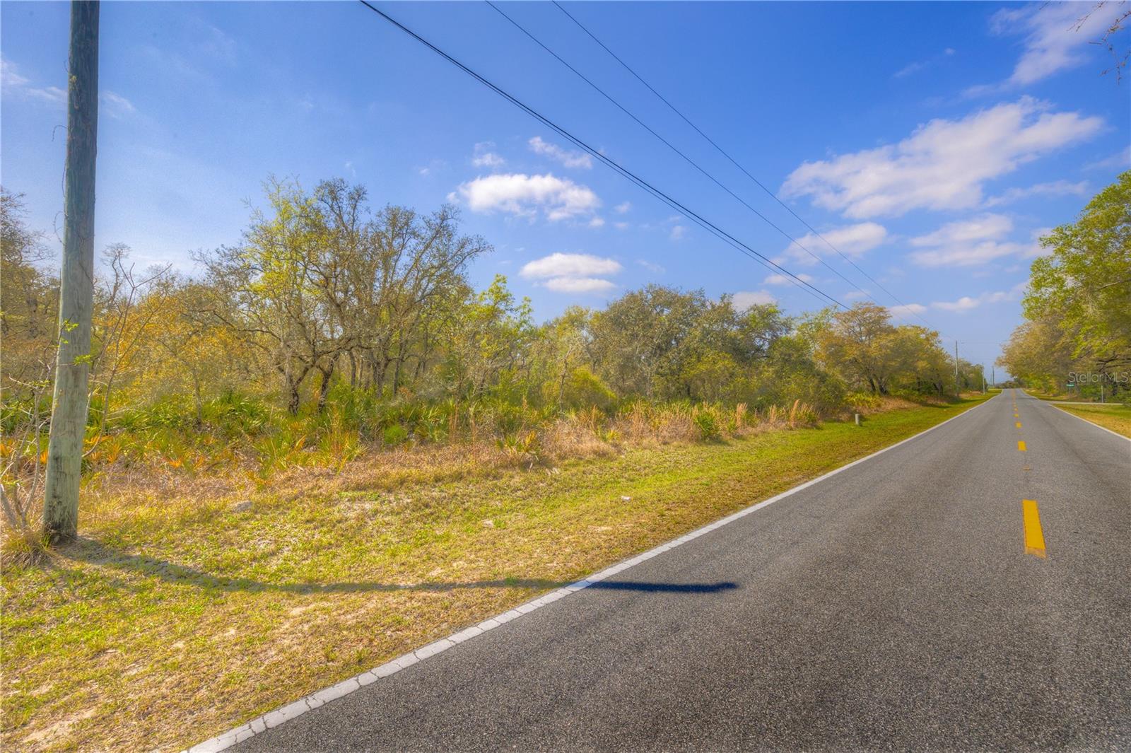 35166 CORNERSTONE DR, WEBSTER, FL, 33597