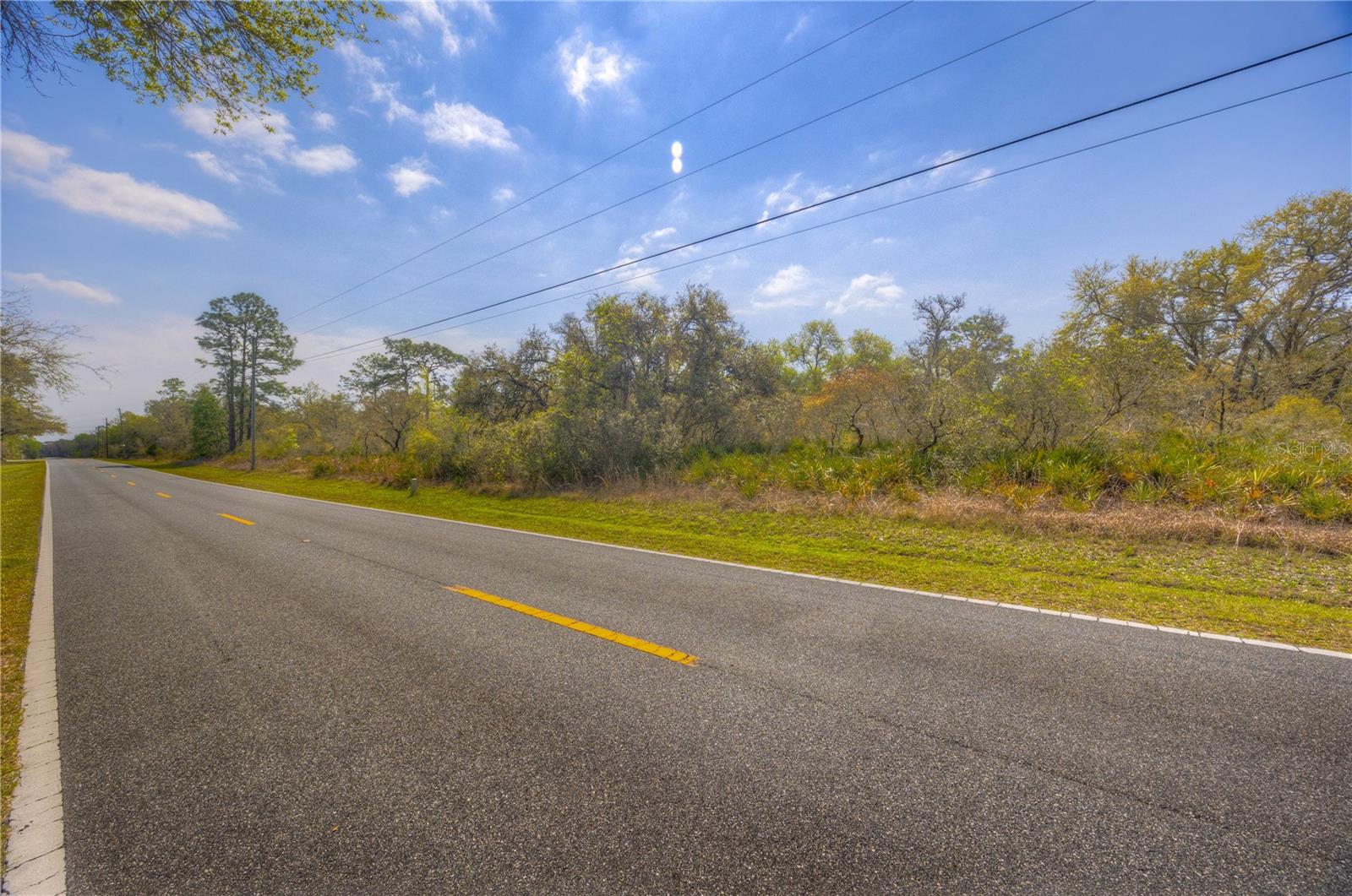 35166 CORNERSTONE DR, WEBSTER, FL, 33597
