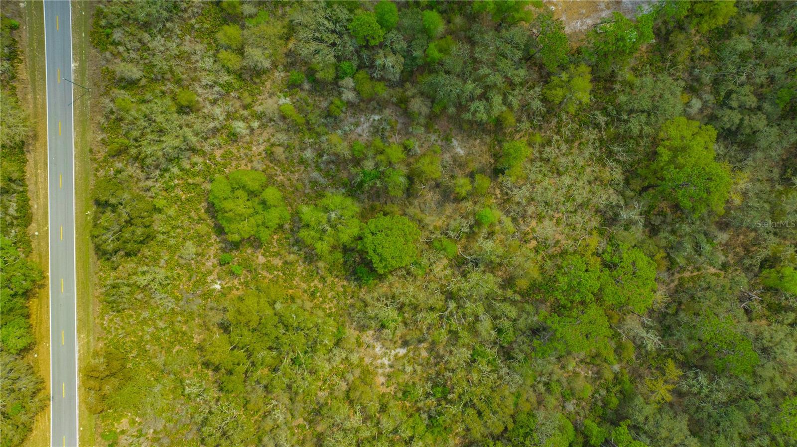 35166 CORNERSTONE DR, WEBSTER, FL, 33597