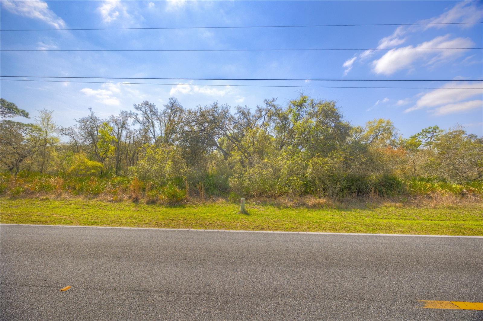 35166 CORNERSTONE DR, WEBSTER, FL, 33597