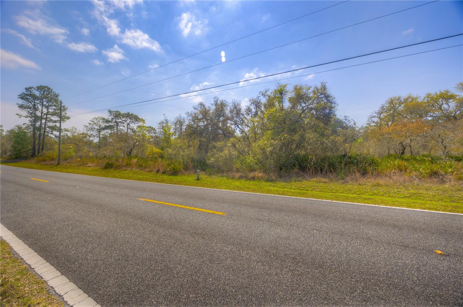 35166 CORNERSTONE DR, WEBSTER, FL, 33597