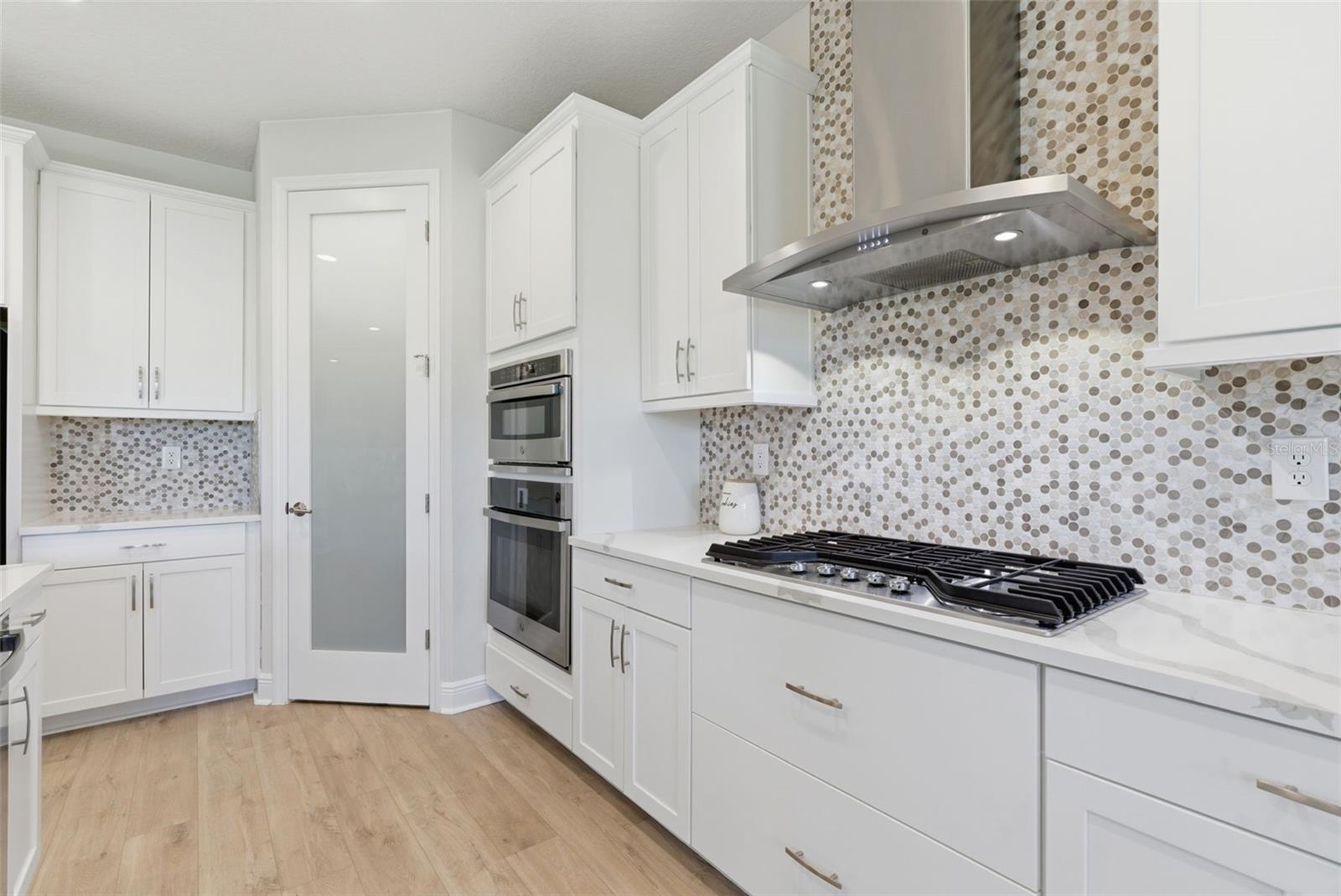 12962 STEED TRACE LOOP, LITHIA, FL, 33547