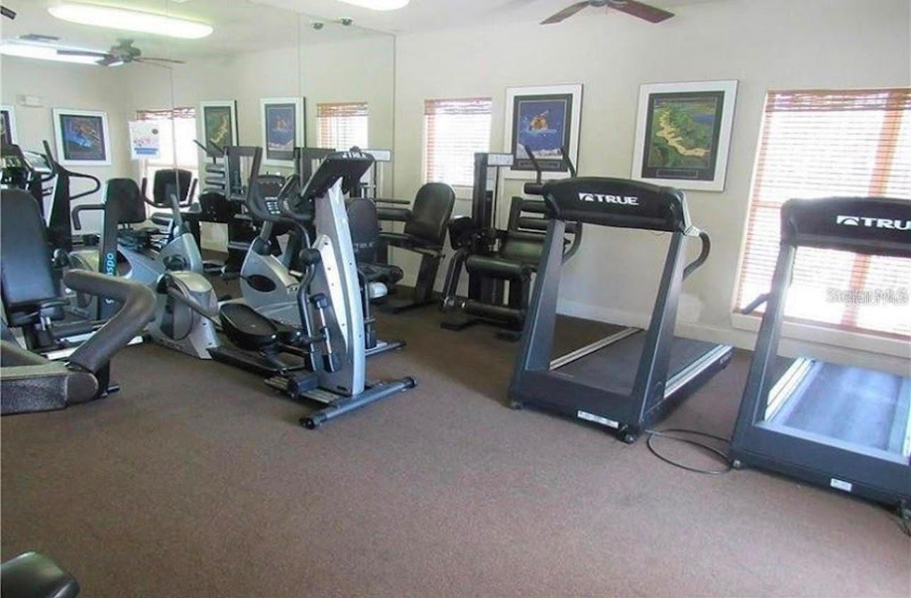 10024 STRAFFORD OAK CT #824, TAMPA, FL, 33624