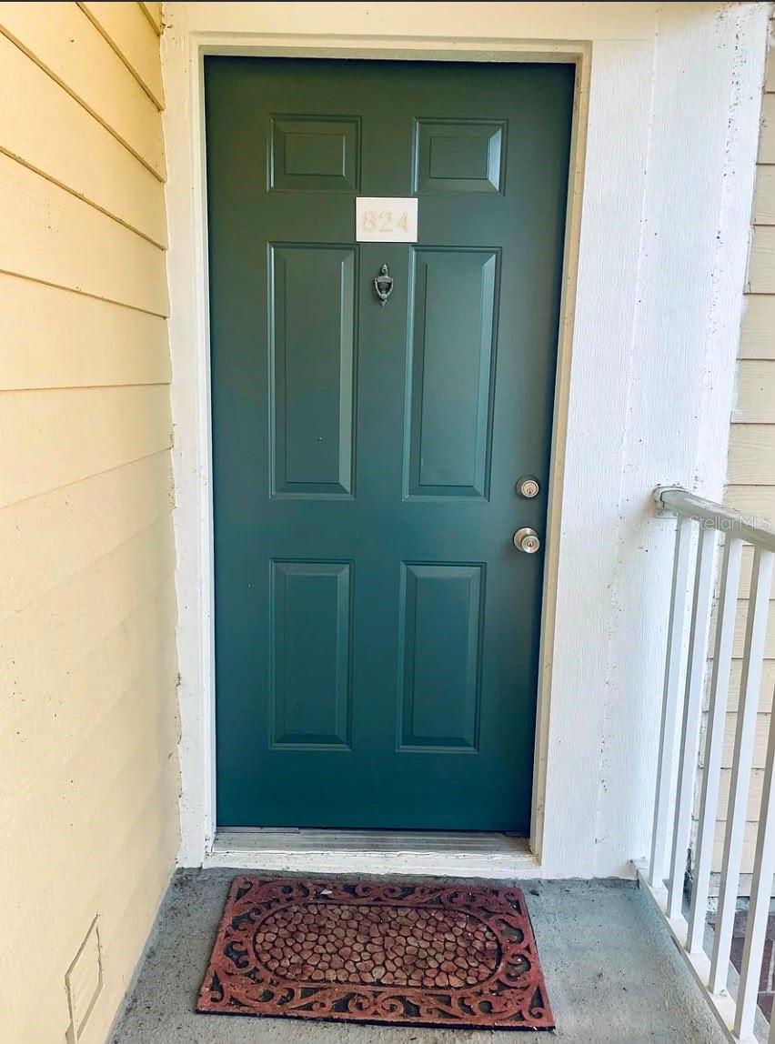 10024 STRAFFORD OAK CT #824, TAMPA, FL, 33624