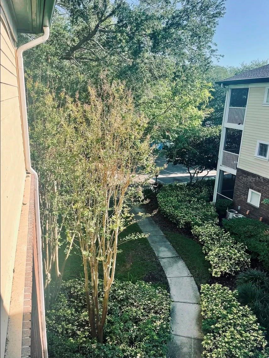 10024 STRAFFORD OAK CT #824, TAMPA, FL, 33624