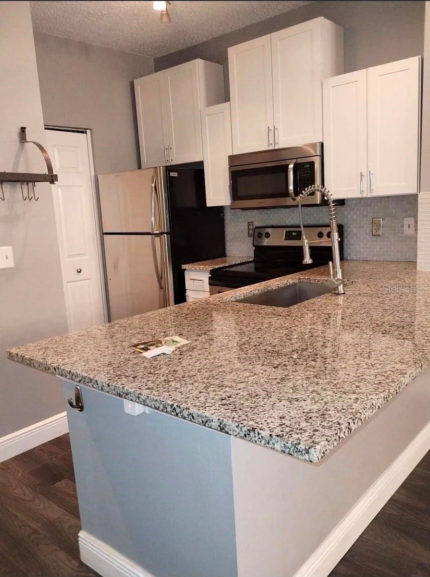 10024 STRAFFORD OAK CT #824, TAMPA, FL, 33624