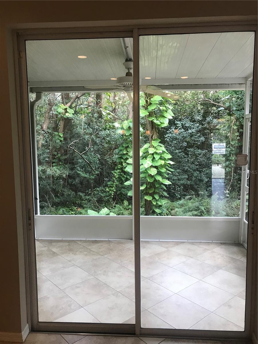 11219 CEDAR HOLLOW LN, TAMPA, FL, 33618