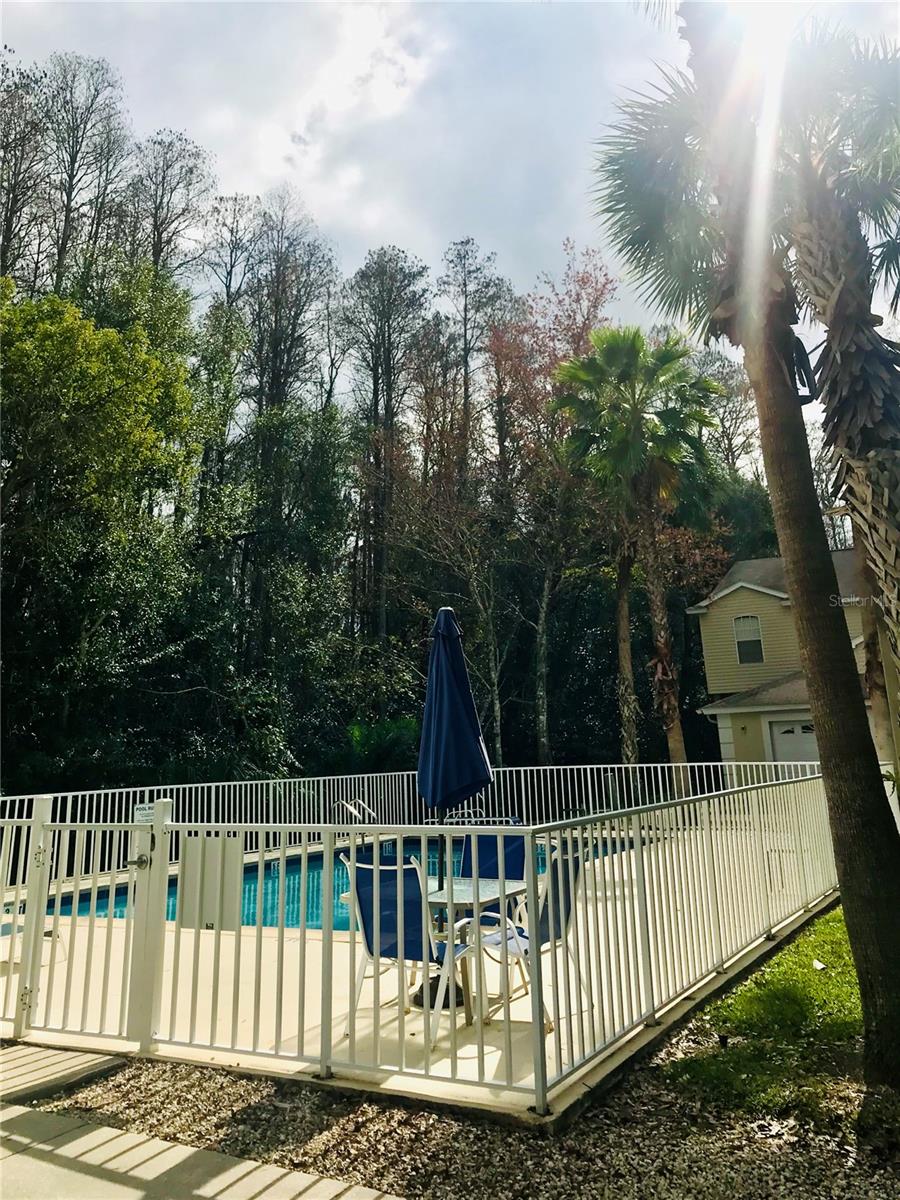11219 CEDAR HOLLOW LN, TAMPA, FL, 33618