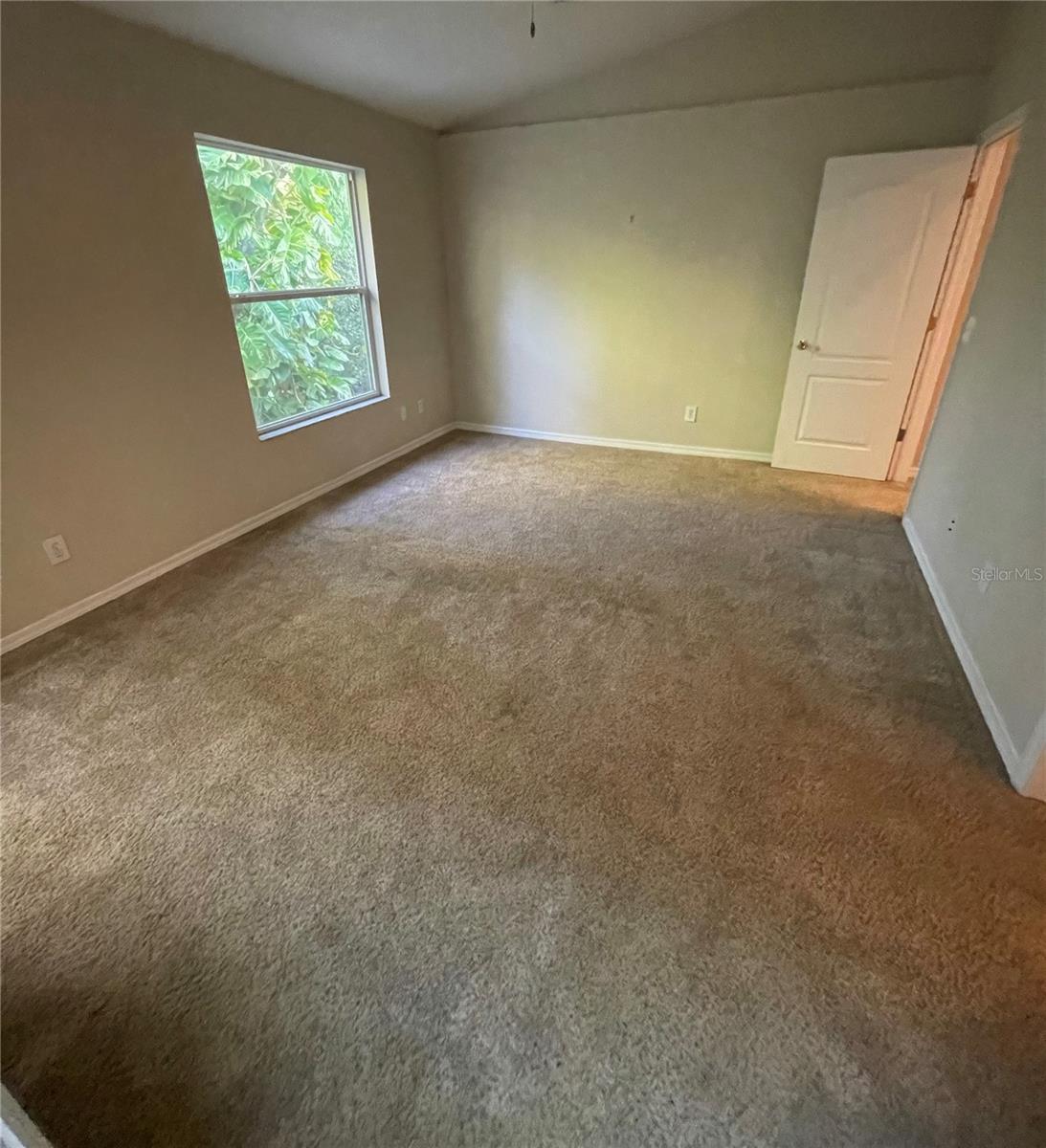11219 CEDAR HOLLOW LN, TAMPA, FL, 33618