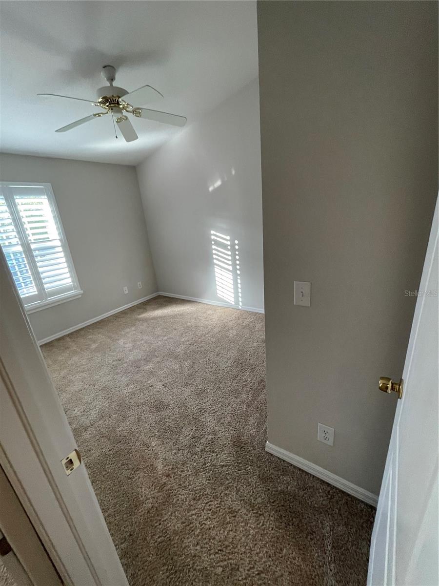 11219 CEDAR HOLLOW LN, TAMPA, FL, 33618