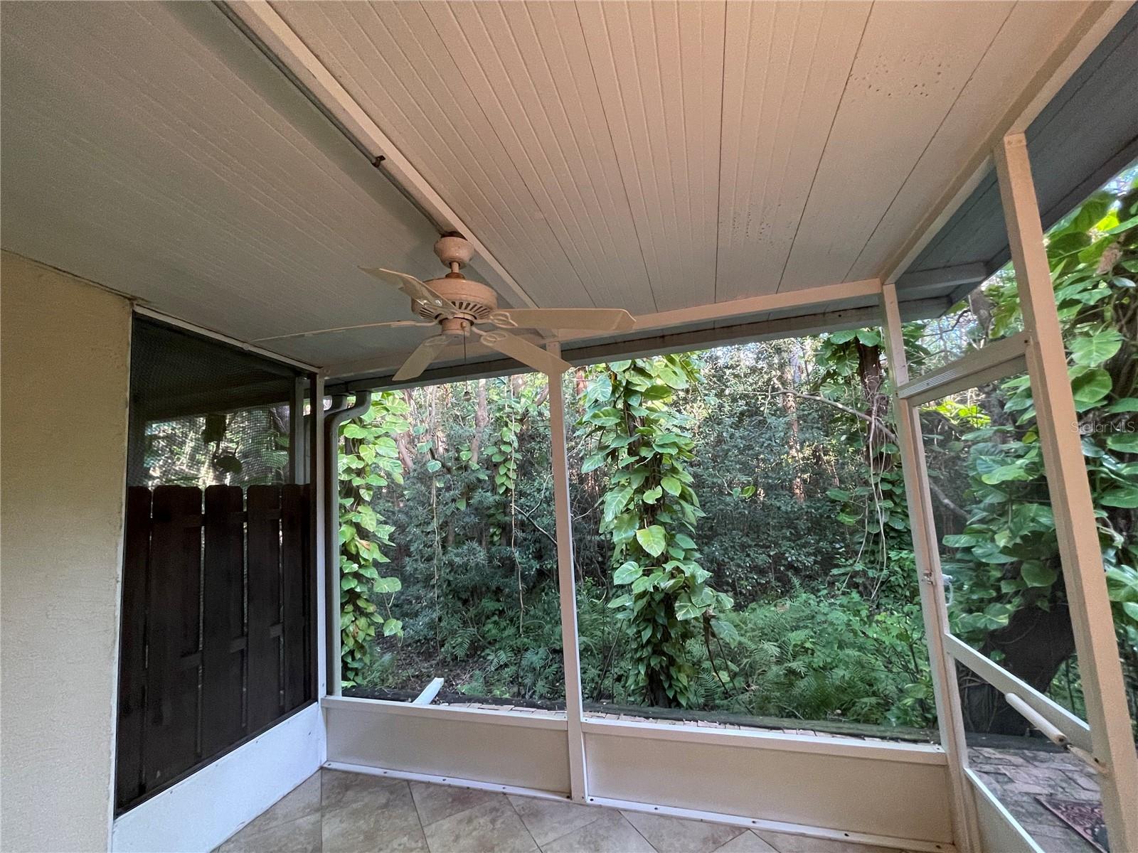 11219 CEDAR HOLLOW LN, TAMPA, FL, 33618