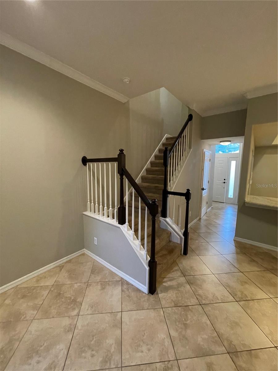 11219 CEDAR HOLLOW LN, TAMPA, FL, 33618