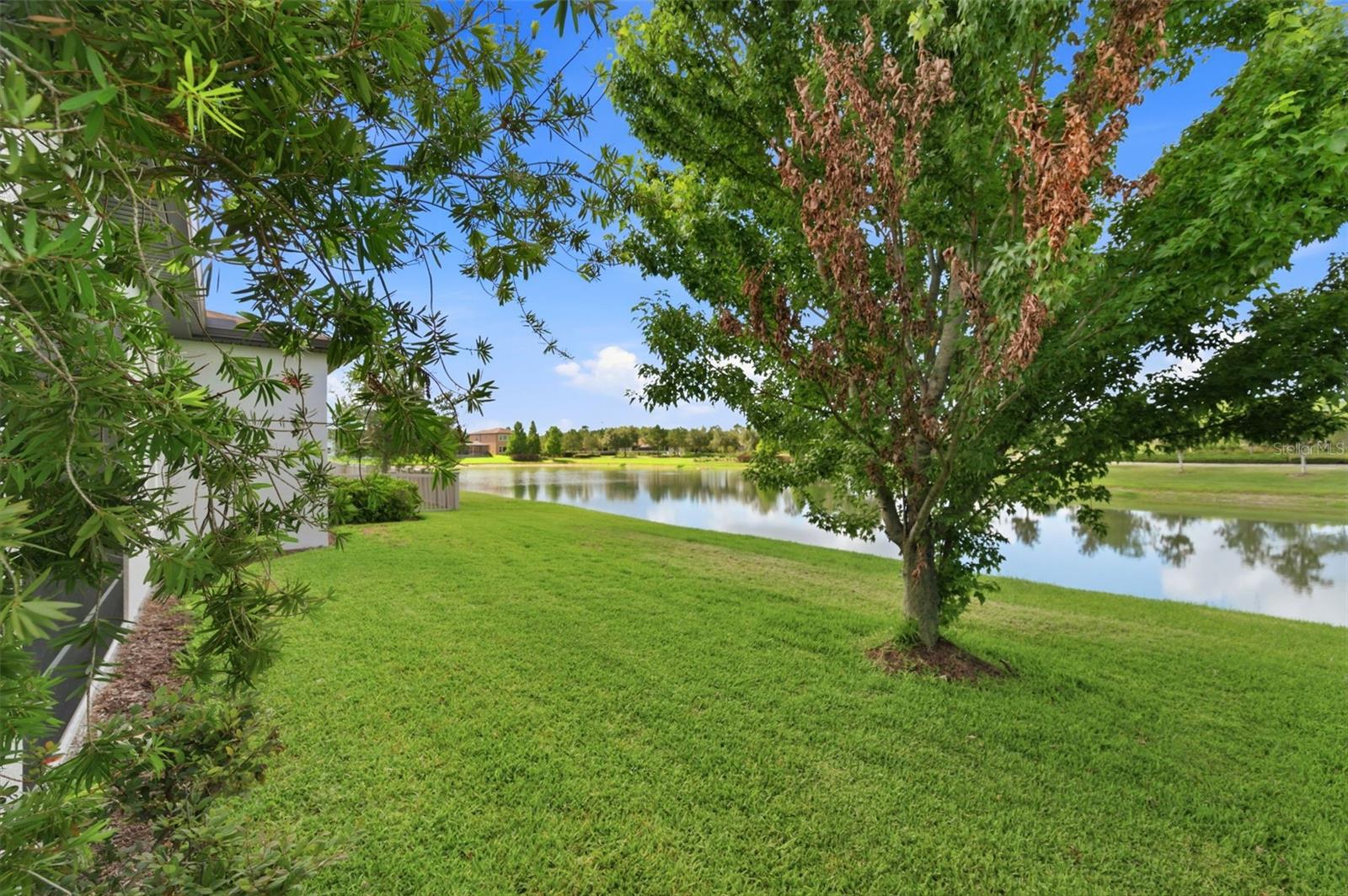 28930 REVARO LN, WESLEY CHAPEL, FL, 33543