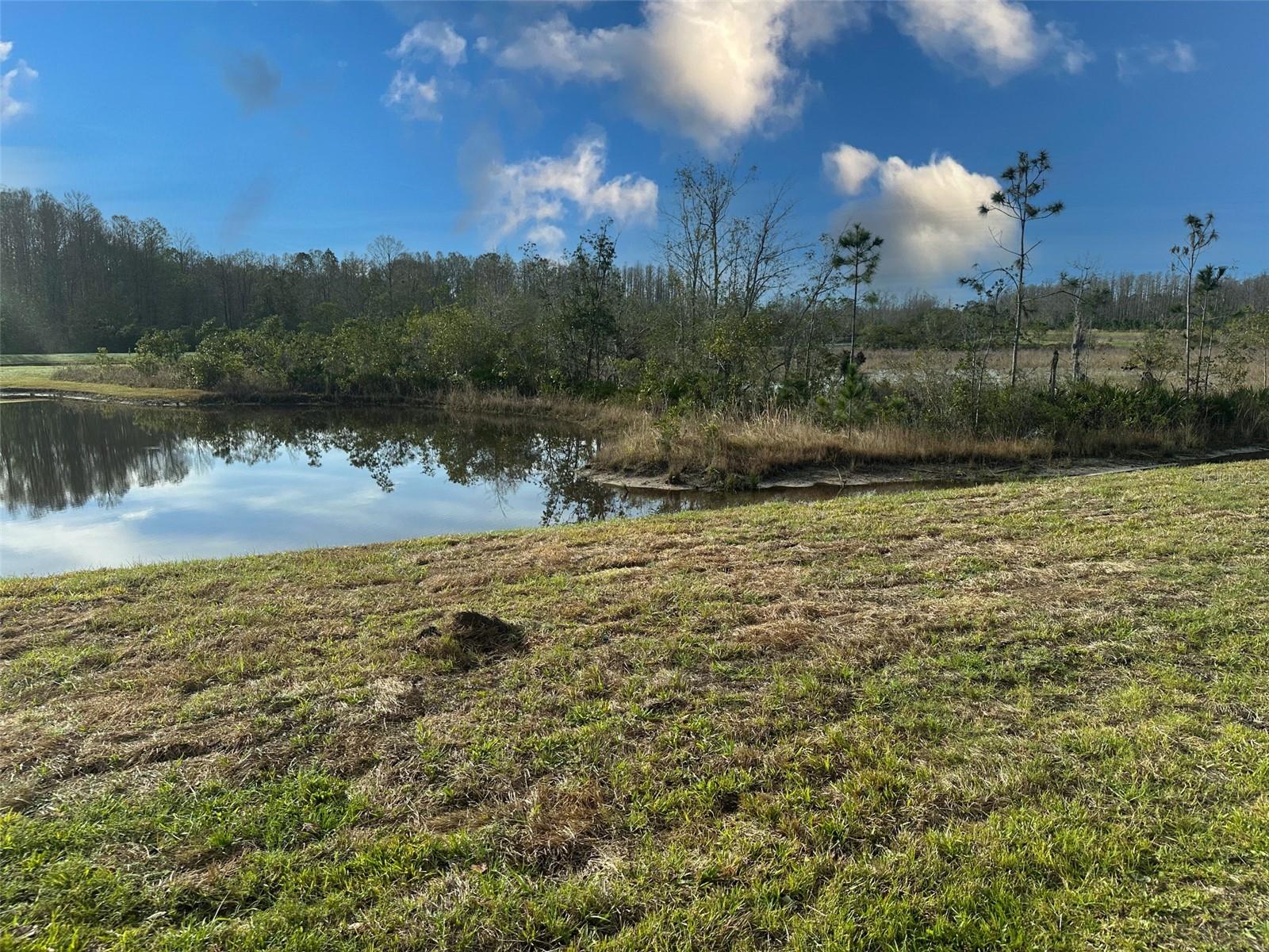 11450 CRESCENT DEER DR, LAND O LAKES, FL, 34638