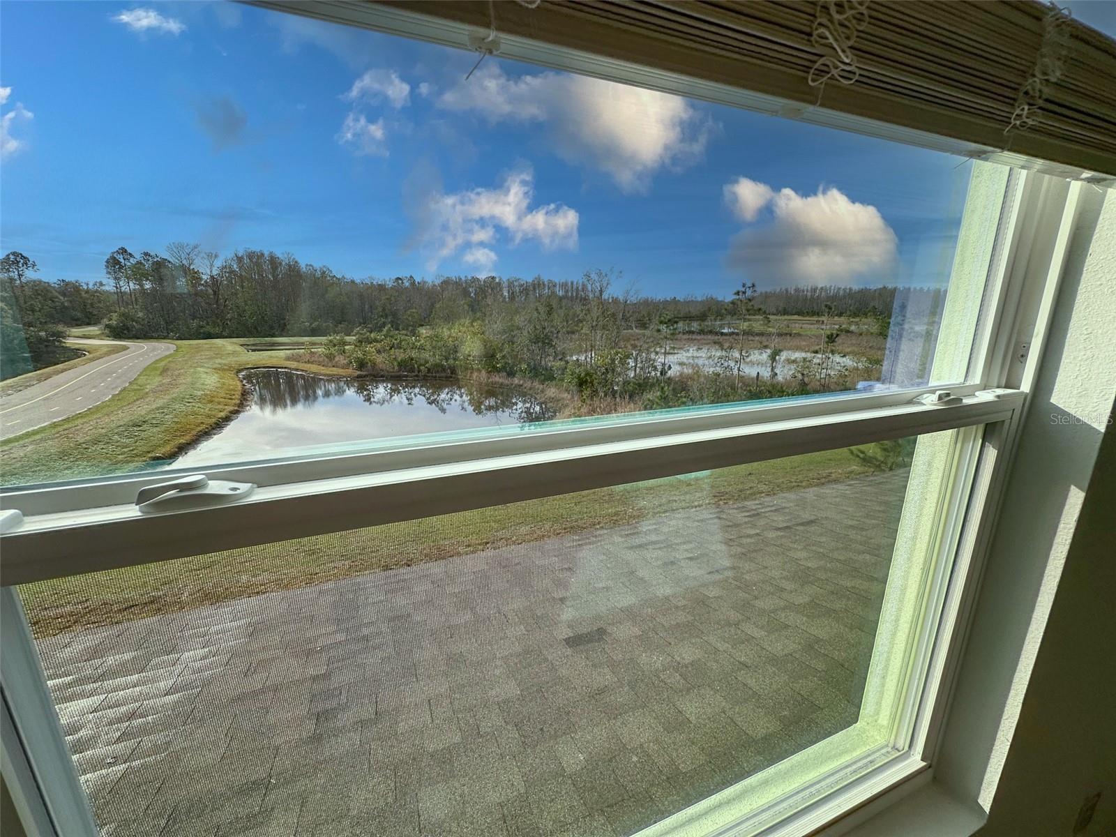 11450 CRESCENT DEER DR, LAND O LAKES, FL, 34638