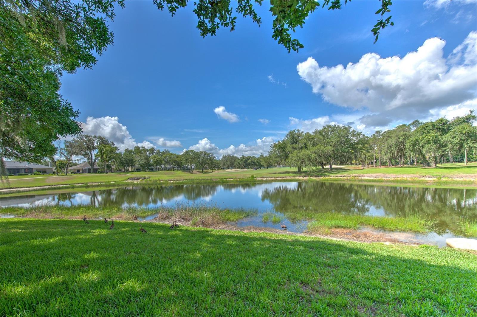5103 BROKEN SOUND LN, VALRICO, FL, 33596