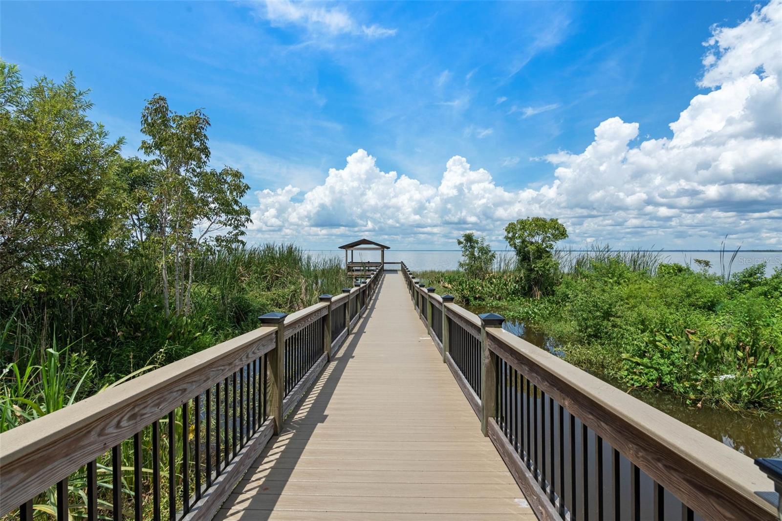 181 ZACHARY WADE ST, WINTER GARDEN, FL, 34787