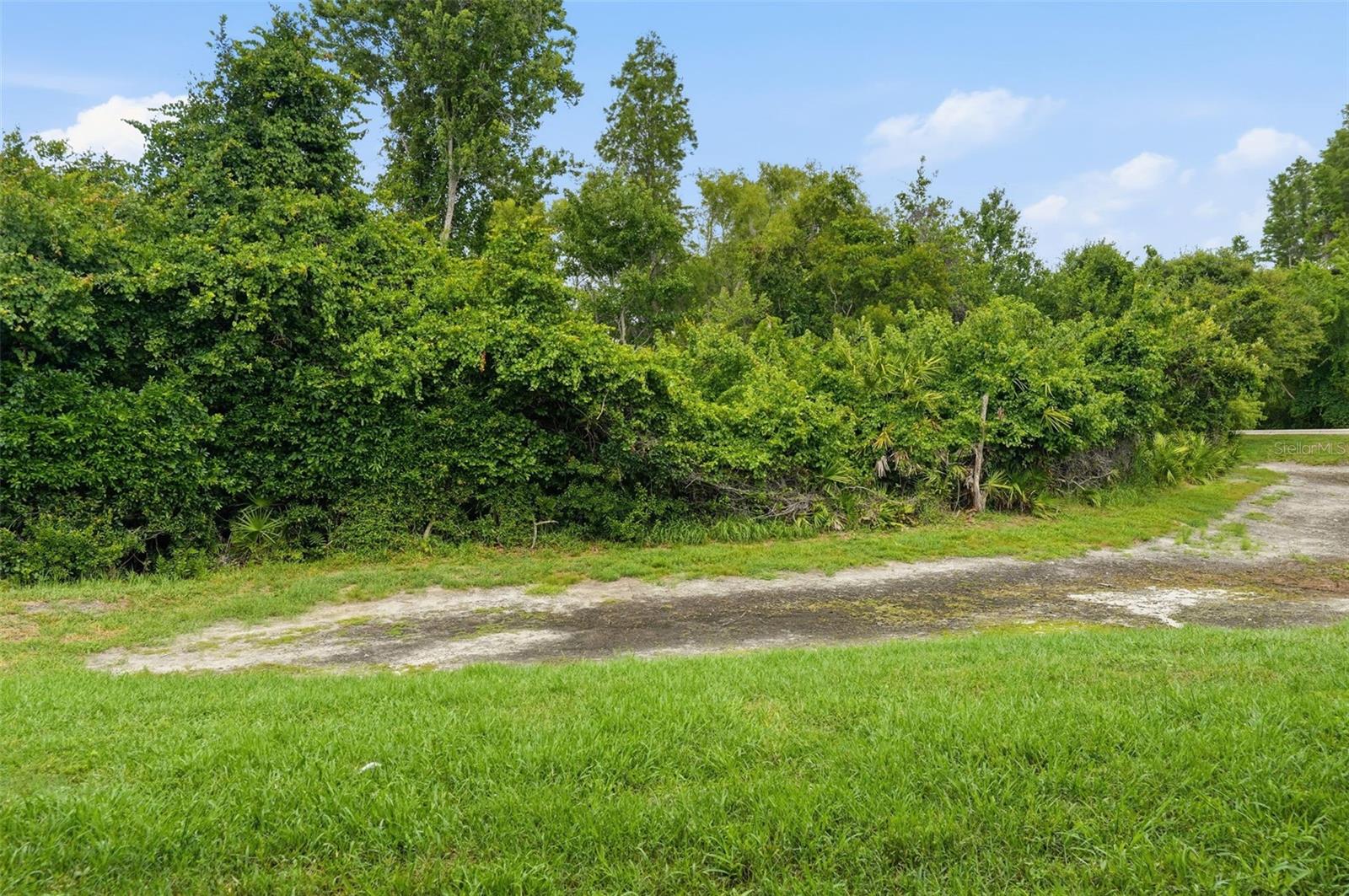 1250 CHARLESWORTH DR, WESLEY CHAPEL, FL, 33543