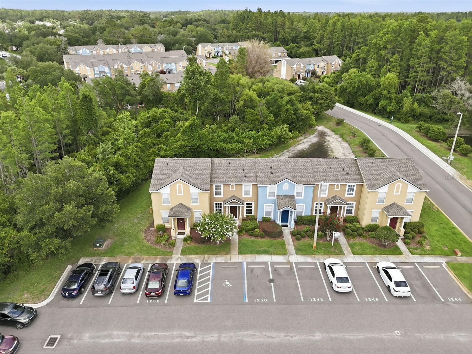 1250 CHARLESWORTH DR, WESLEY CHAPEL, FL, 33543