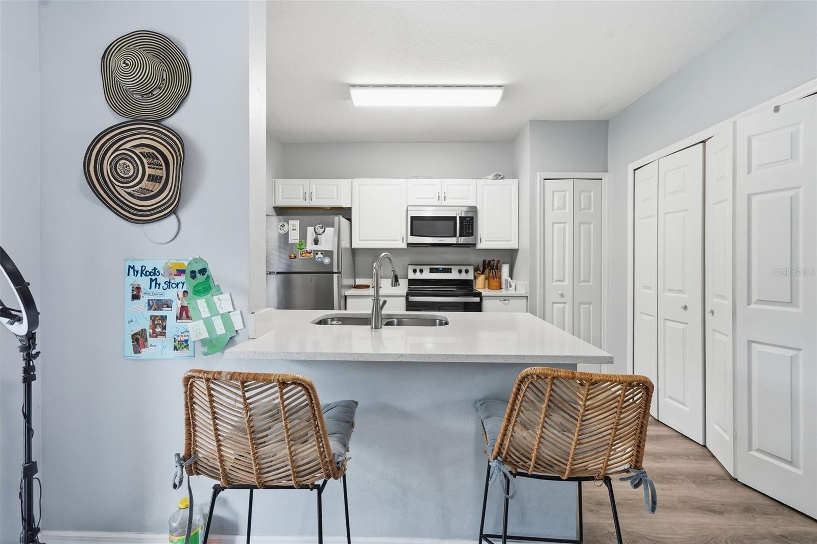 1250 CHARLESWORTH DR, WESLEY CHAPEL, FL, 33543