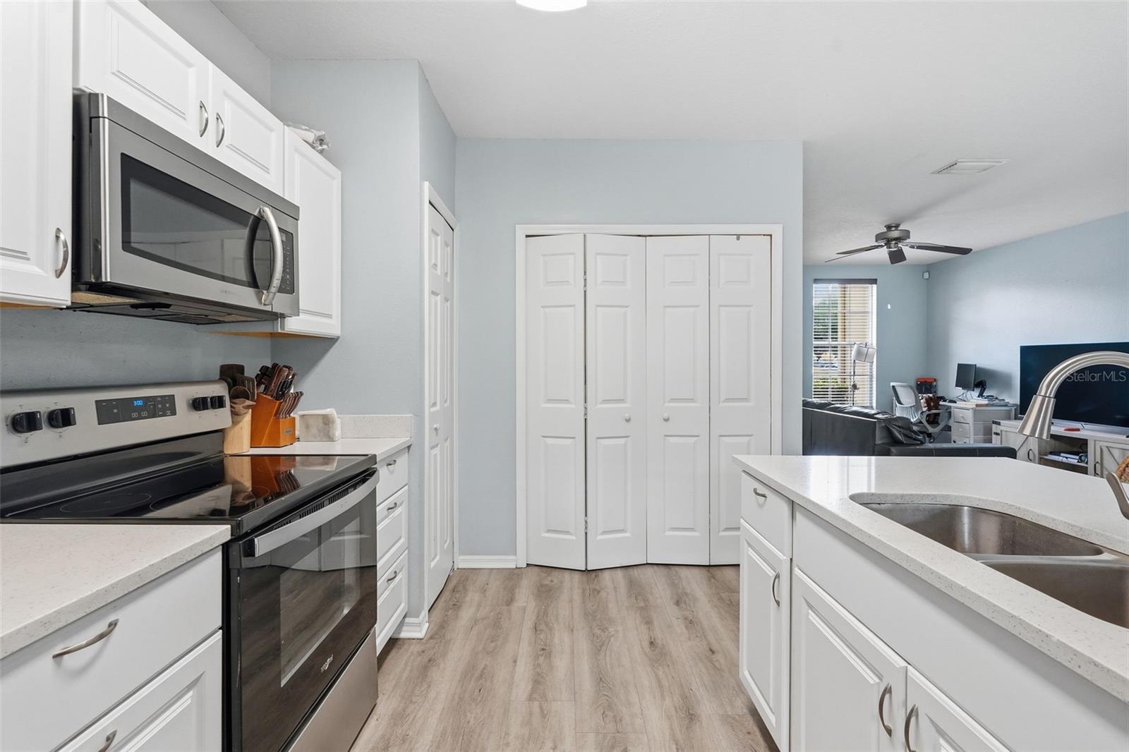 1250 CHARLESWORTH DR, WESLEY CHAPEL, FL, 33543