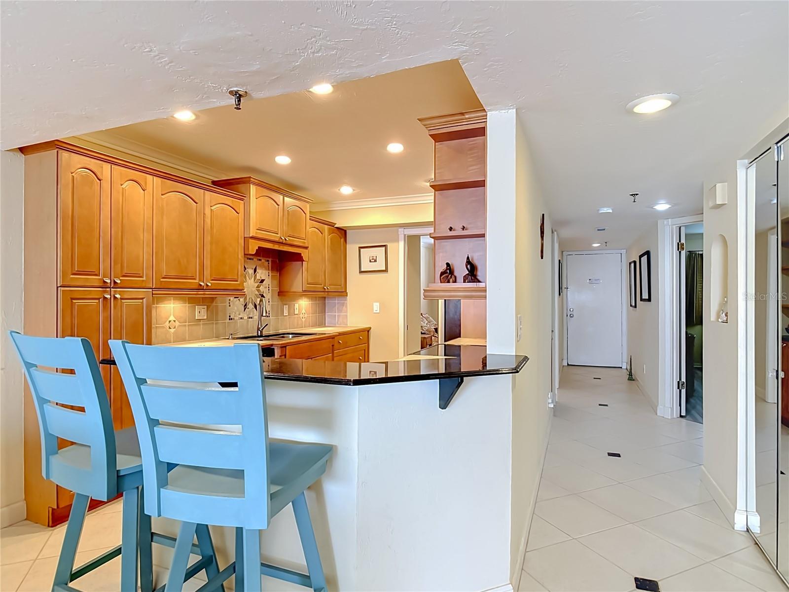 3001 S ATLANTIC AVE #442, NEW SMYRNA BEACH, FL, 32169