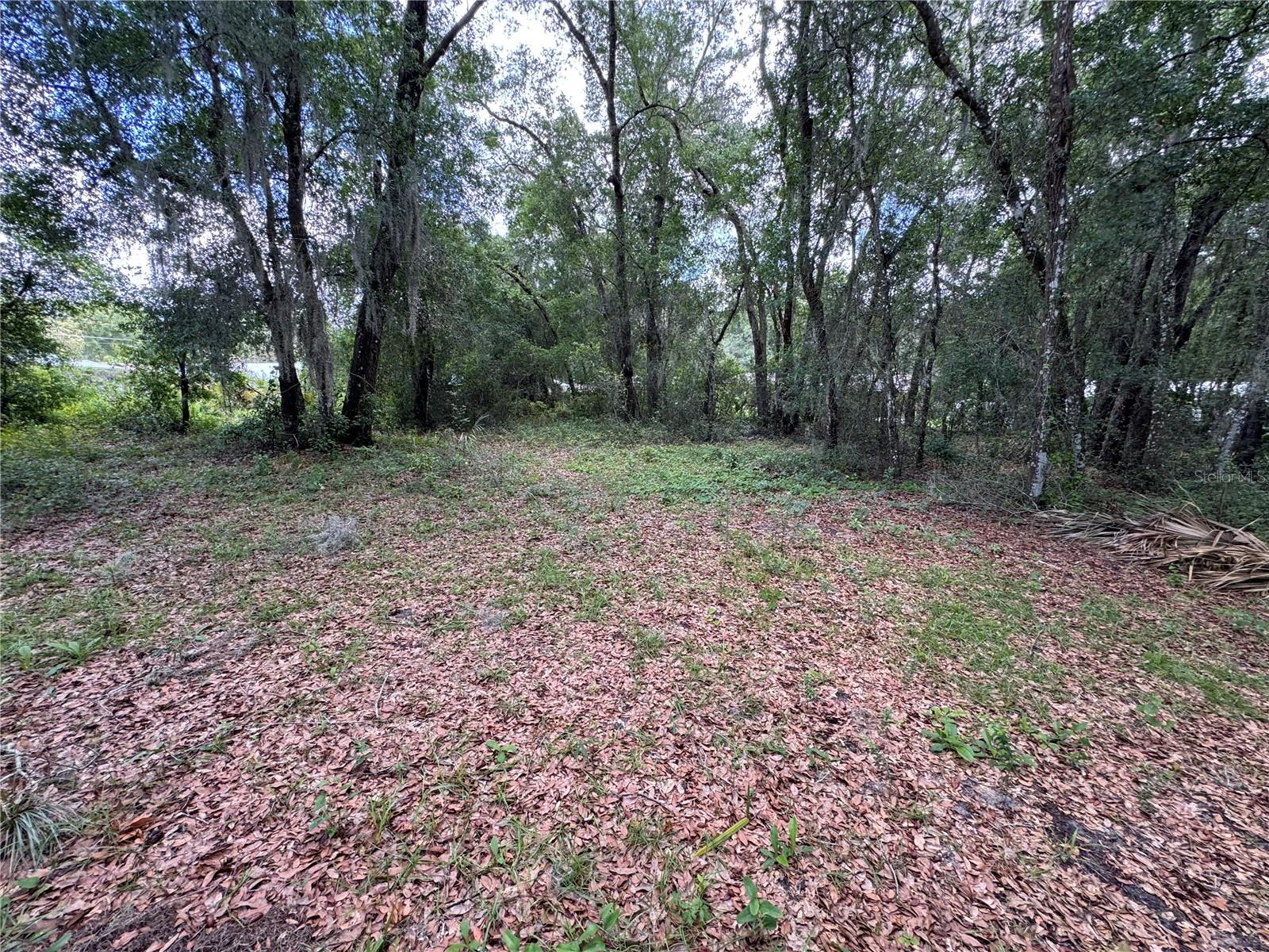 308 S BLUE LAKE AVE, DELAND, FL, 32724