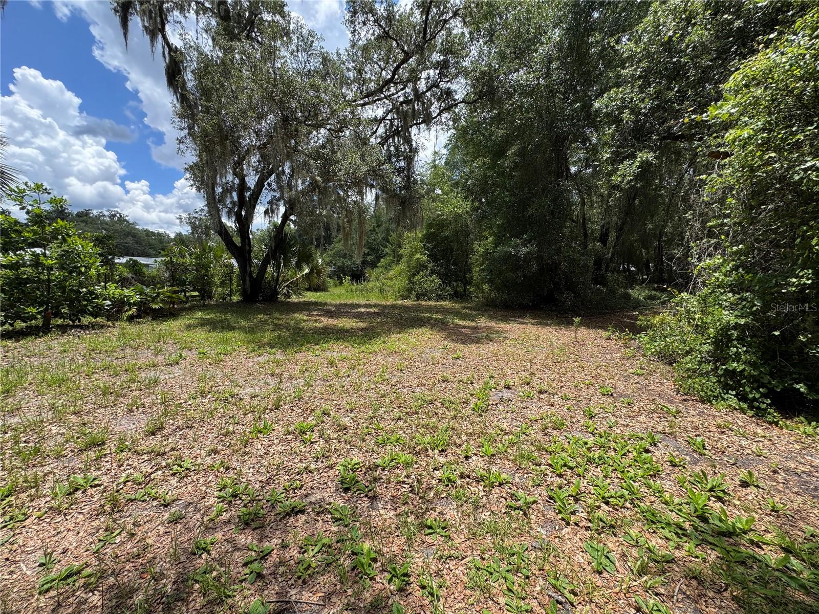 308 S BLUE LAKE AVE, DELAND, FL, 32724