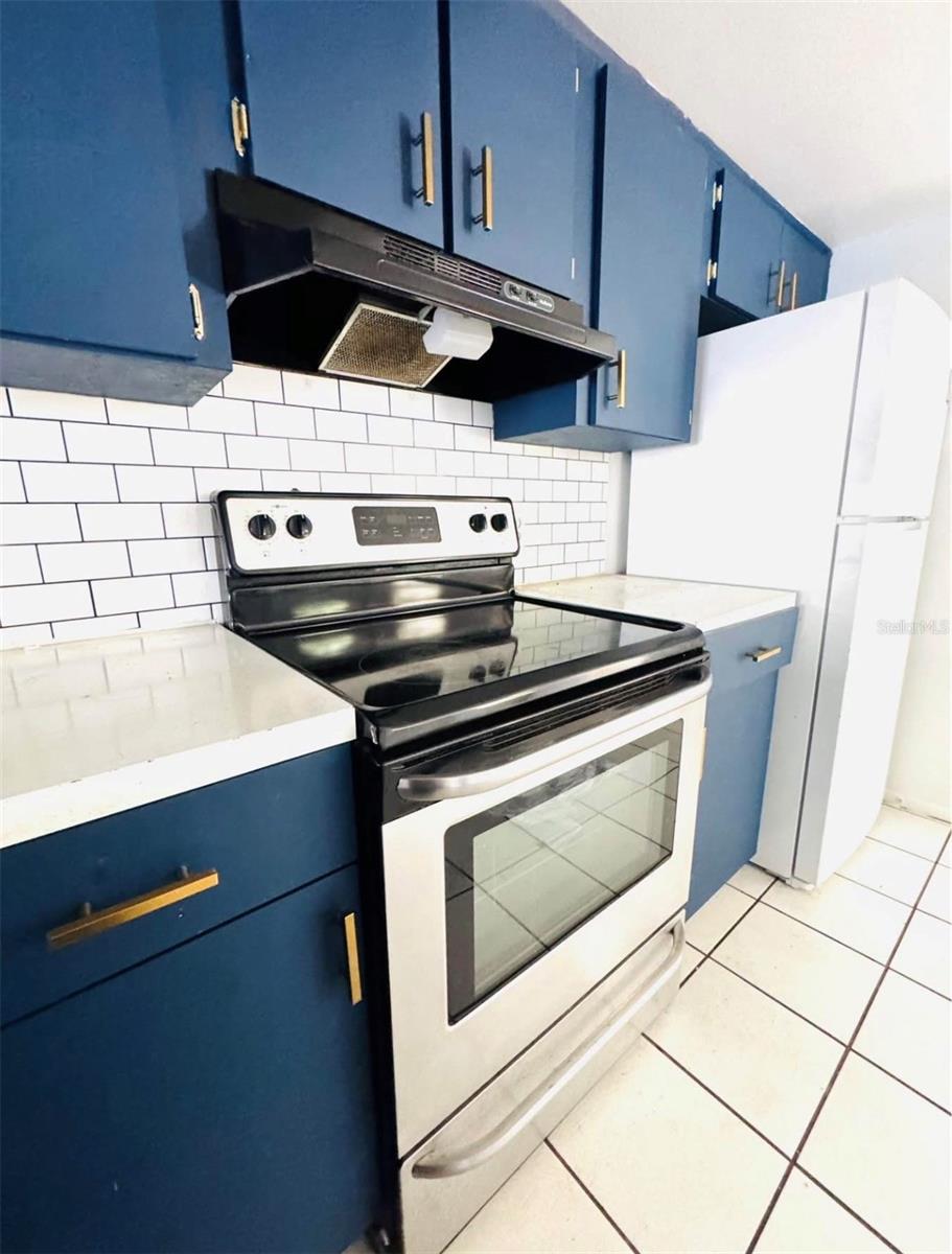 10313 WALTON ST, SPRING HILL, FL, 34608