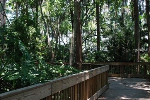 3256 BENTLEY DR, PALM HARBOR, FL, 34684