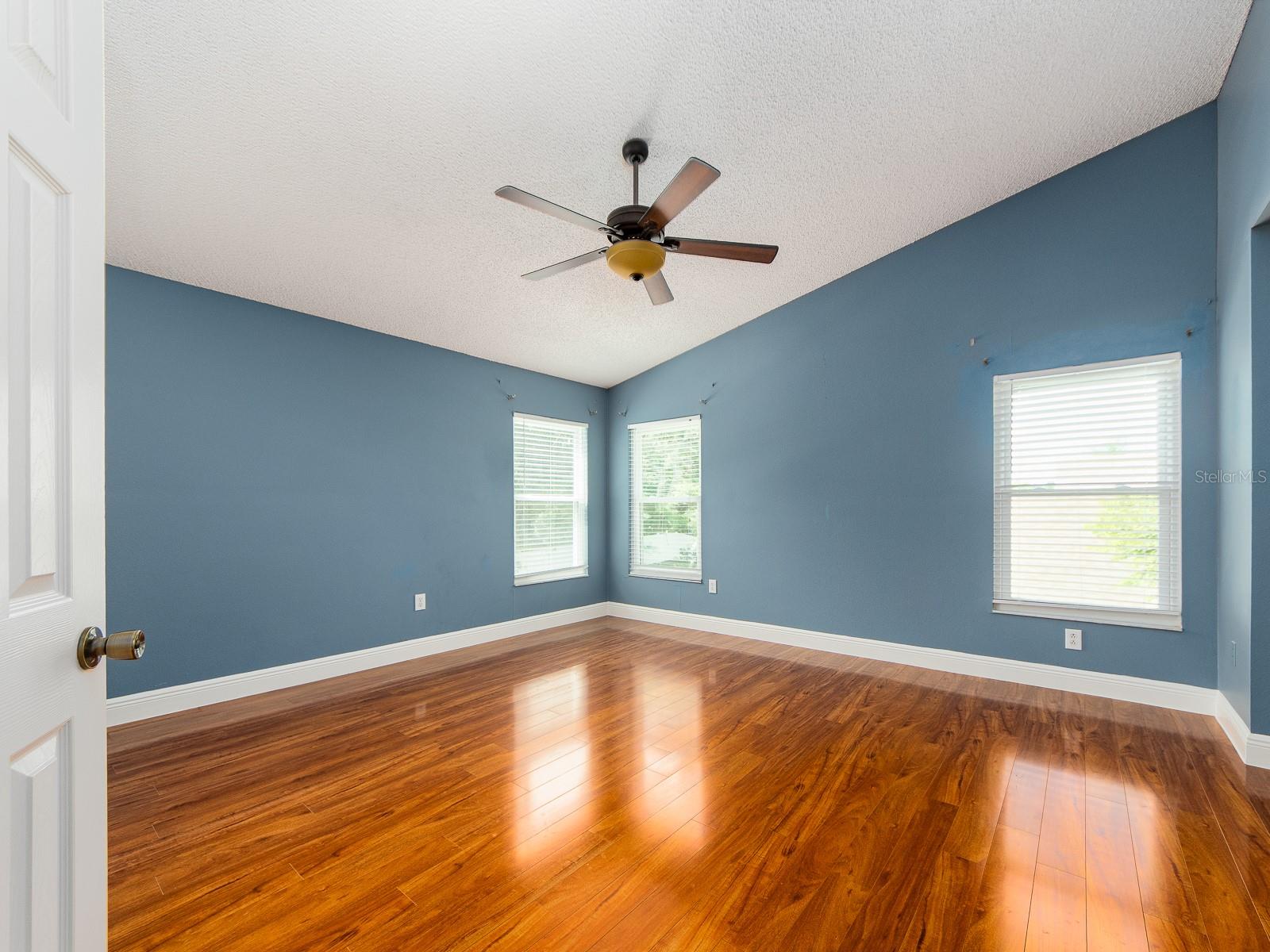 3256 BENTLEY DR, PALM HARBOR, FL, 34684