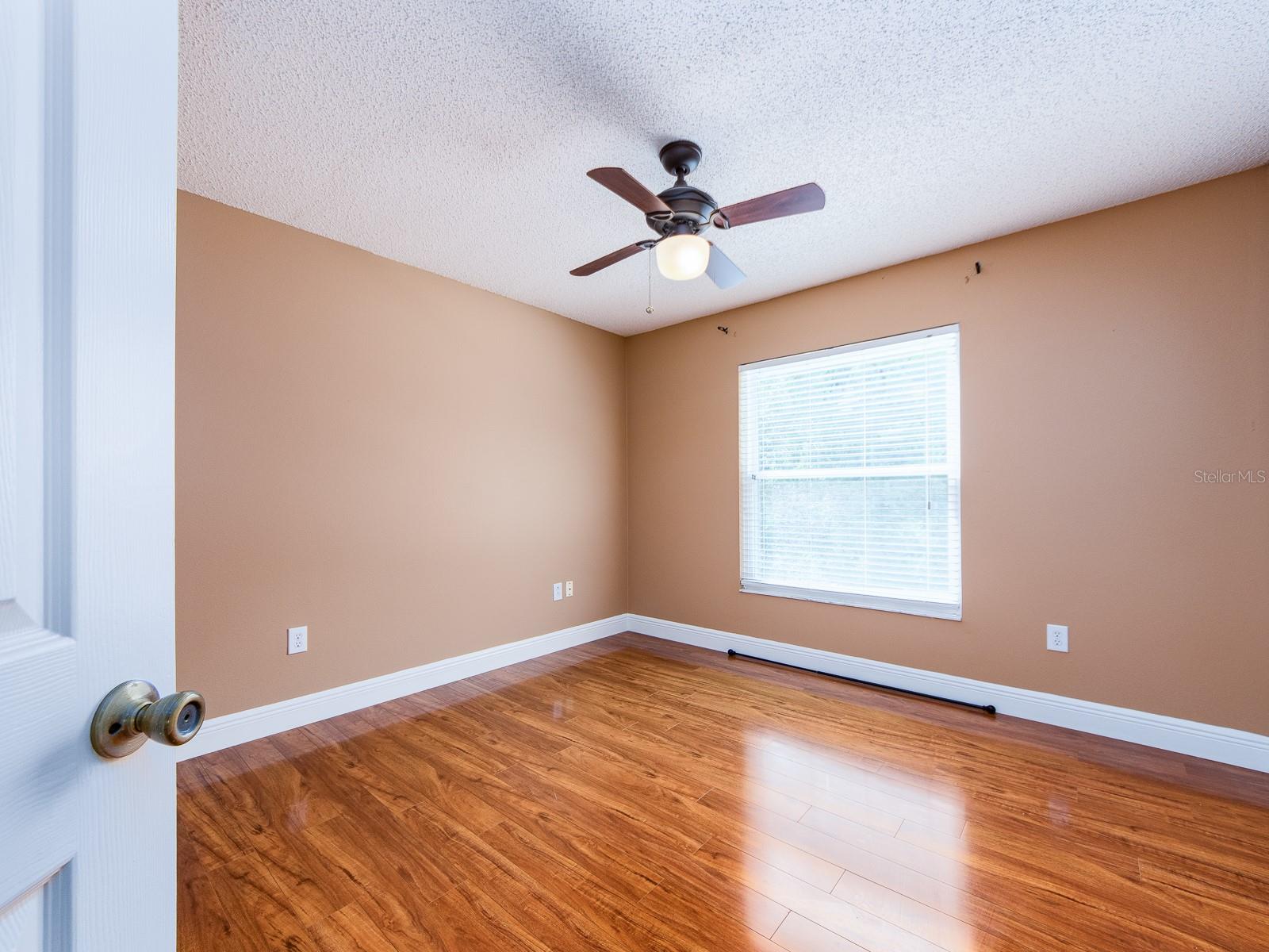 3256 BENTLEY DR, PALM HARBOR, FL, 34684