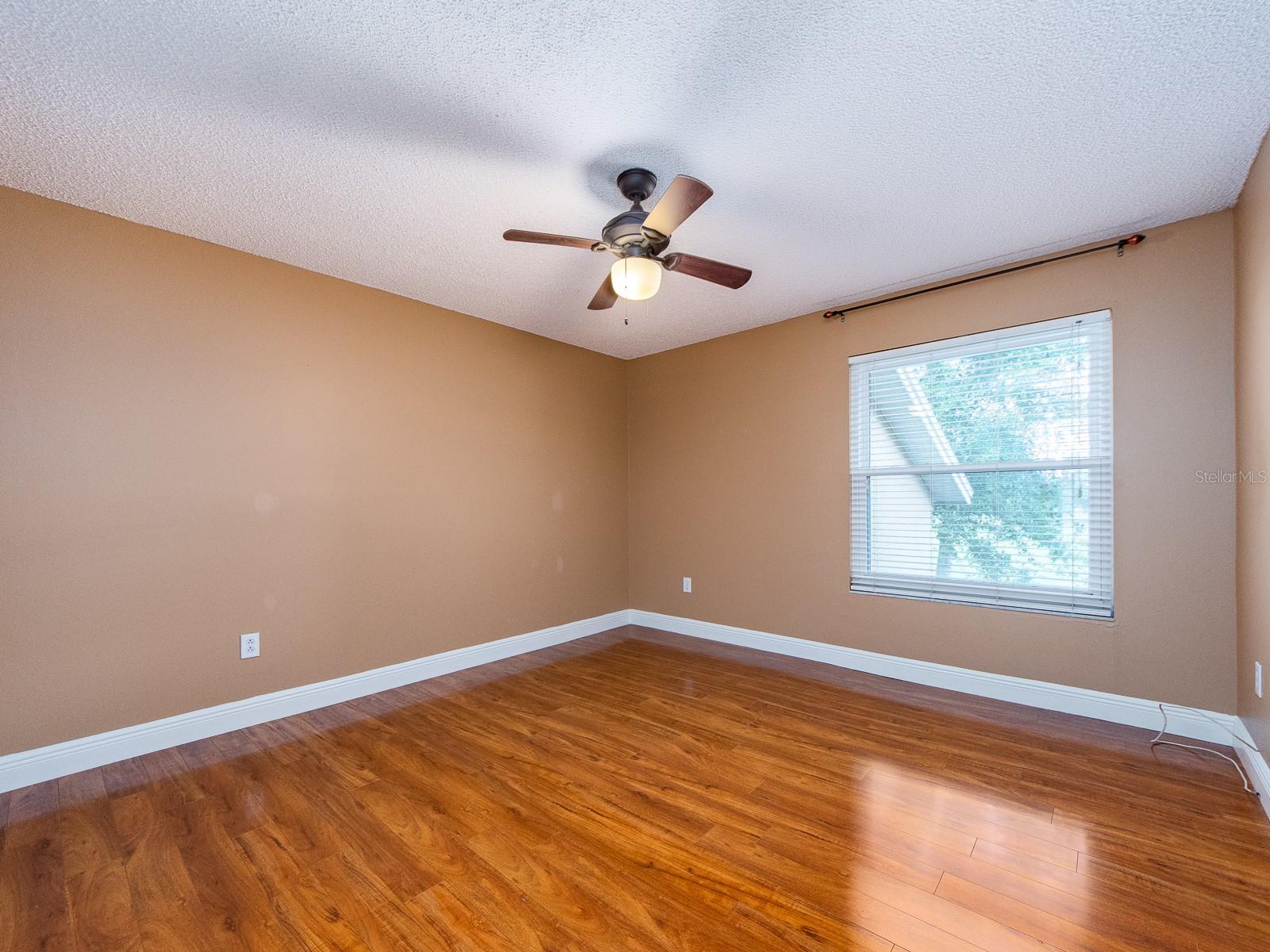 3256 BENTLEY DR, PALM HARBOR, FL, 34684