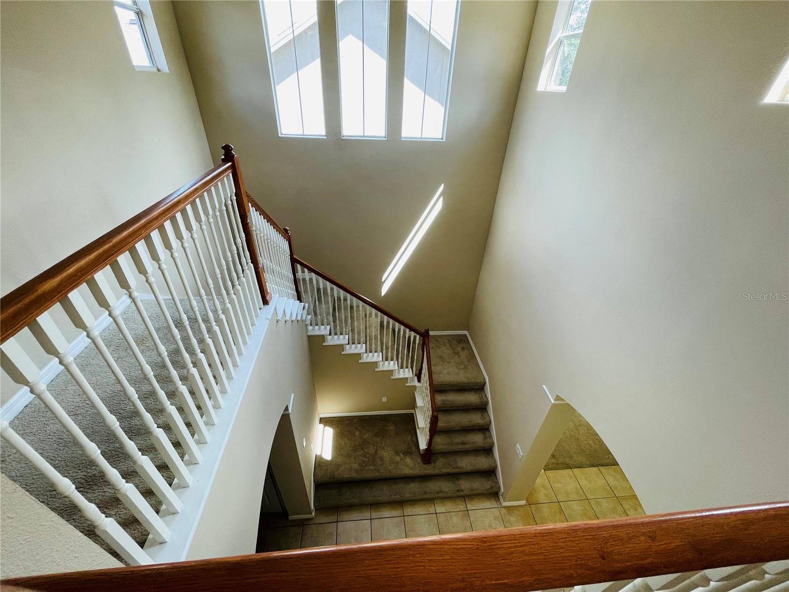 6601 DUNCASTER ST, WINDERMERE, FL, 34786