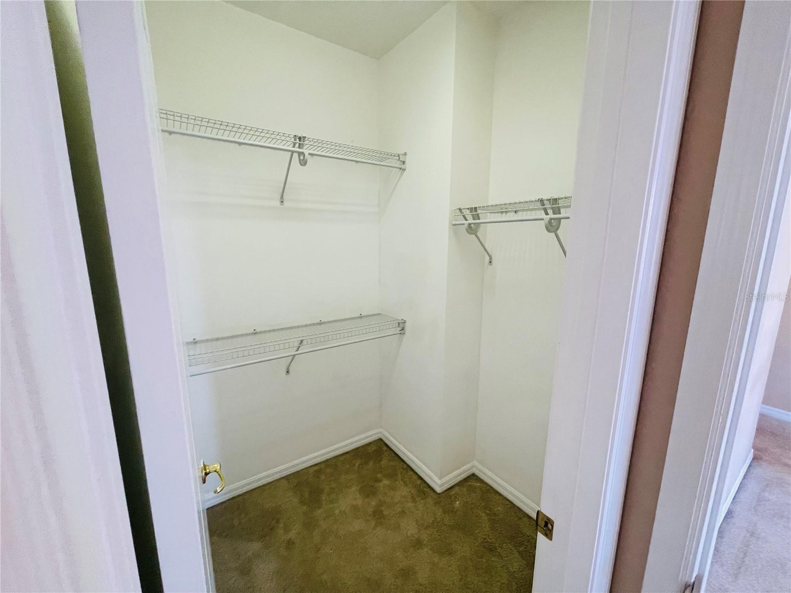 6601 DUNCASTER ST, WINDERMERE, FL, 34786