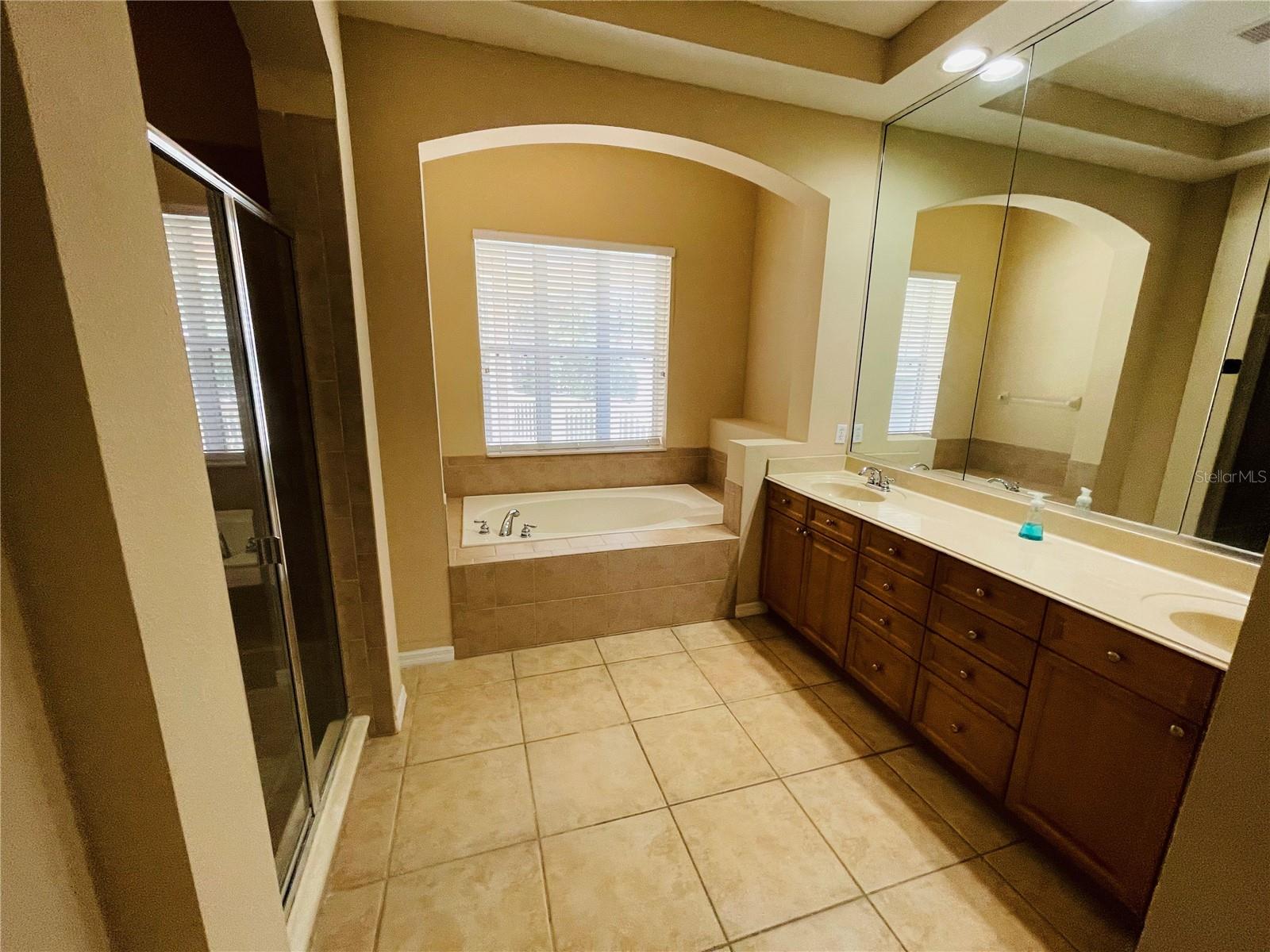 6601 DUNCASTER ST, WINDERMERE, FL, 34786