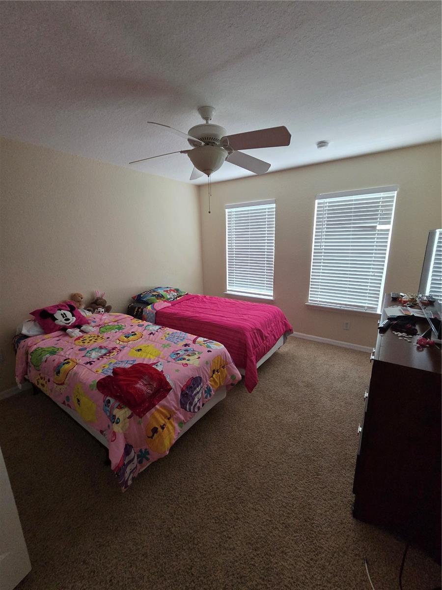 3661 KINGS RD #102, PALM HARBOR, FL, 34685