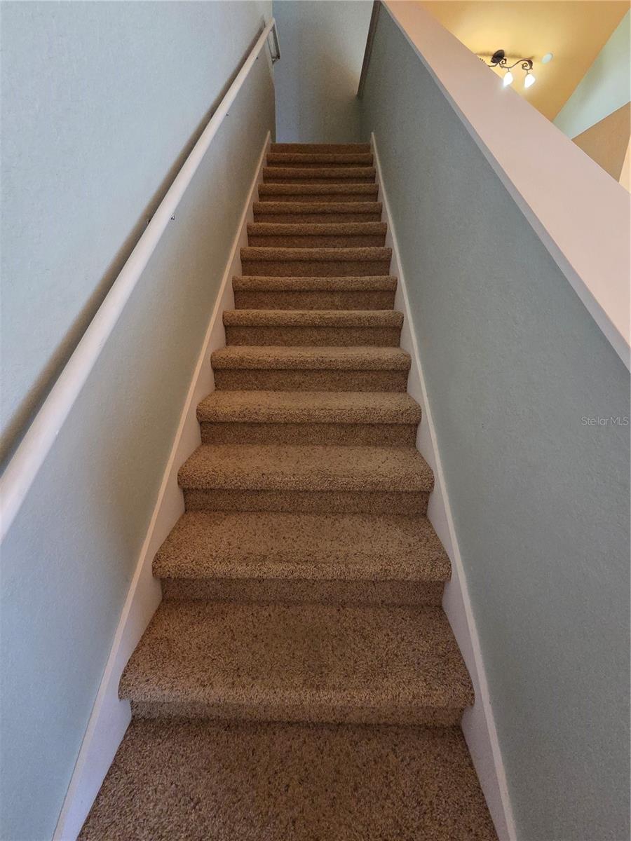 3661 KINGS RD #102, PALM HARBOR, FL, 34685