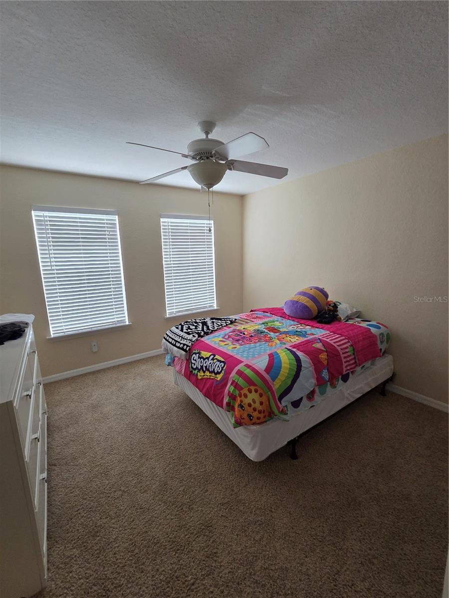 3661 KINGS RD #102, PALM HARBOR, FL, 34685