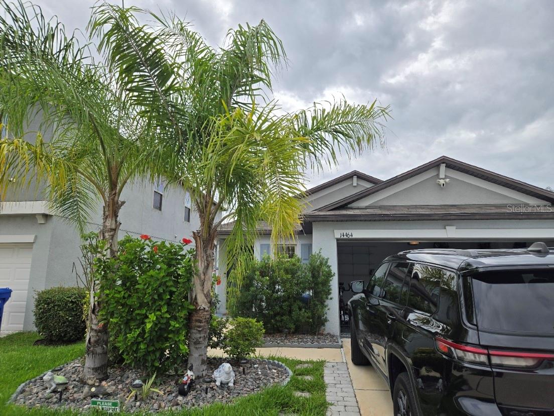 14464 ENGLISH LAVENDER DR, WIMAUMA, FL, 33598