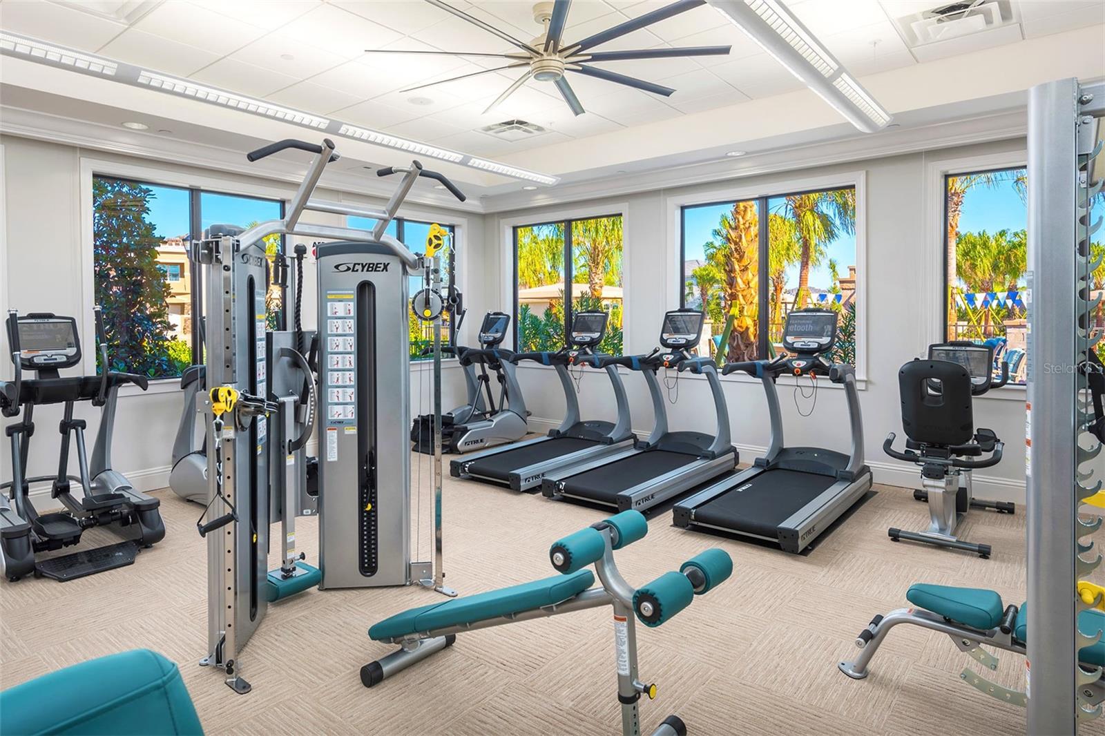 32801 TREE OF LIFE AVE, WESLEY CHAPEL, FL, 33543