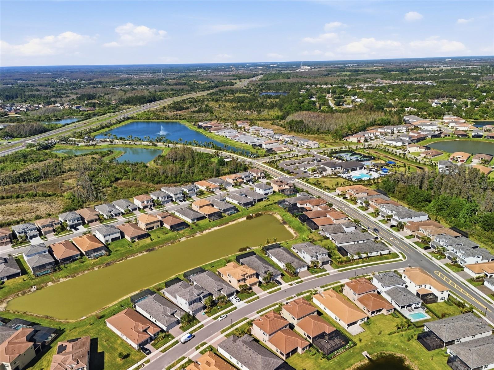 32801 TREE OF LIFE AVE, WESLEY CHAPEL, FL, 33543