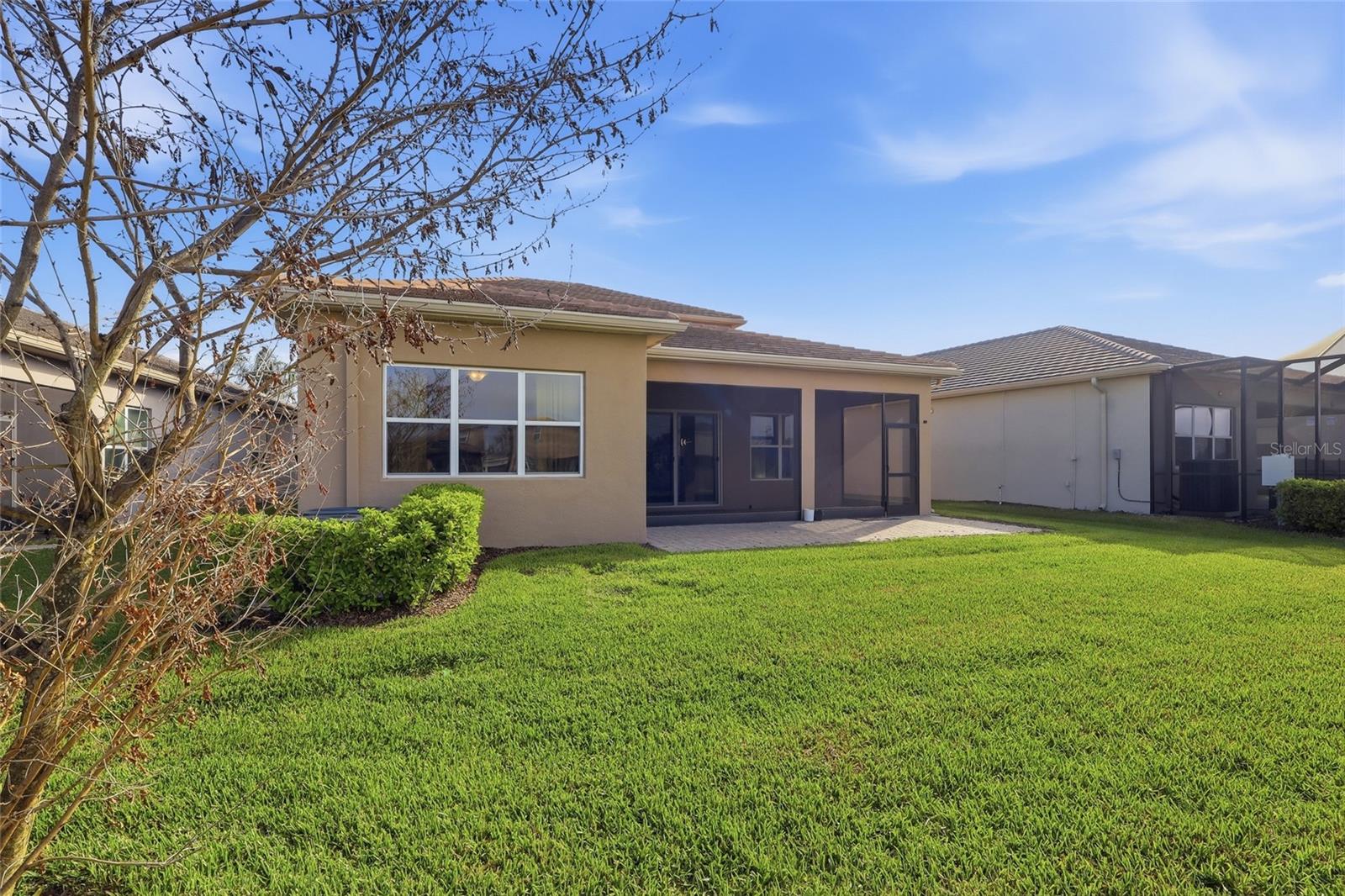 32801 TREE OF LIFE AVE, WESLEY CHAPEL, FL, 33543