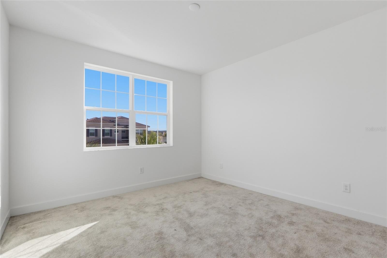 32801 TREE OF LIFE AVE, WESLEY CHAPEL, FL, 33543