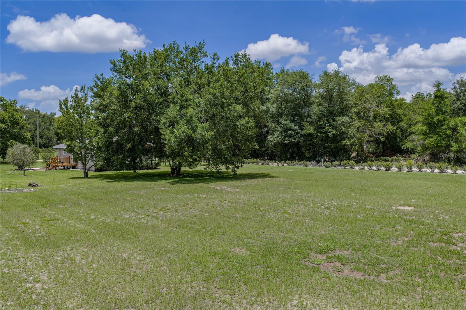 34240 APPALOOSA TRL, WESLEY CHAPEL, FL, 33543